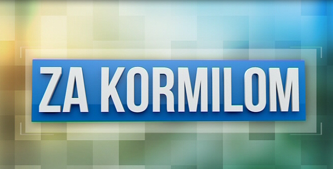 Za kormilom